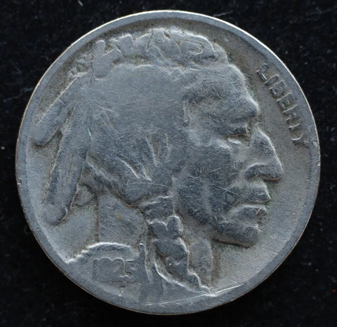 KAPPYSCOINS W4307 1925D VG VERY GOOD PLUS BUFFALO NICKEL  FILL THAT HOLE TODAY Cover