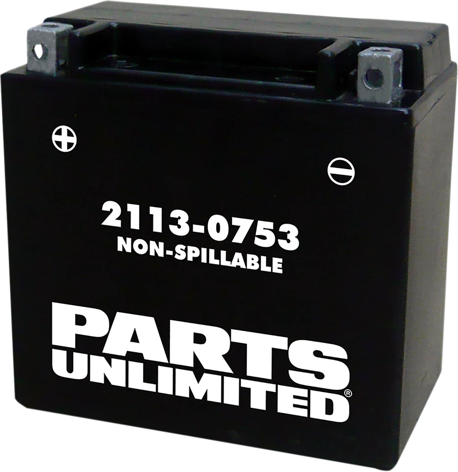 Batería AGM ilimitada YTX14 2009-2016 para Hyosung GT 250 R Foto 1 de 1