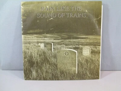 Rain Like The Sound Of Trains 7 Inch Vinyl Dischord Records Rebel Music LOOK! - Image 1 of 4