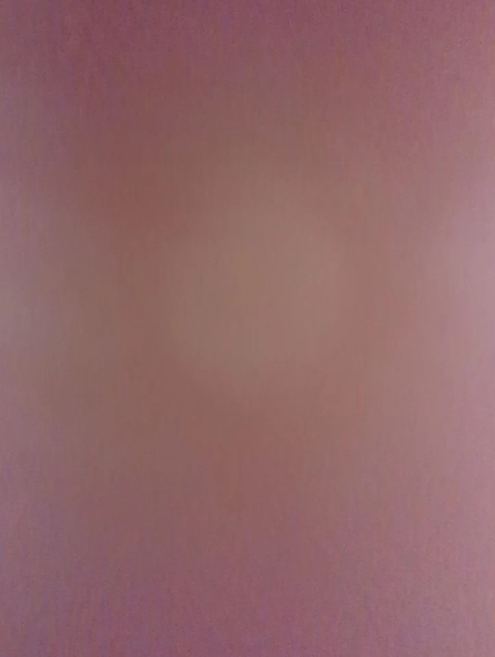 2011-2014 Mazda 2 Trunk/decklid/hatch/tailgate Oem RNEZF - Изображение 1 из 1