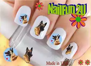 Nail Art 164C RAZZA CANE Belga Malinois Rosso #1 WaterSlide Decalcomanie Unghie Trasferibili - Foto 1 di 2