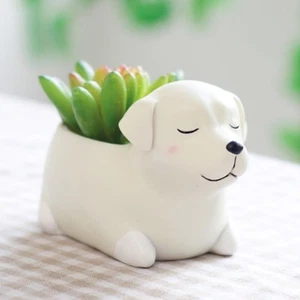 Cute Pots Animal Shaped Creative Cartoon Home Decoration Succulent Flower Pots - Picture 1 of 9