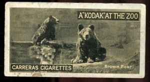 Tobacco Card, Carreras, KODAK AT THE ZOO, A Series, 1924, Brown Bear, #46