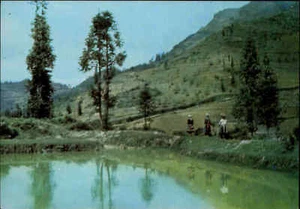 VIETNAM Postkarte Việt Nam Postcard Asia Asien Landschaft Landscape Ansichtskart - Picture 1 of 2