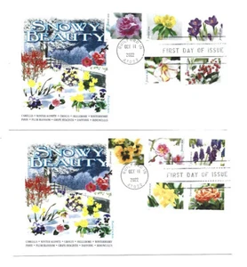5727-36 Snowy Beauty set of 10 stamps on two Panda Cachets FDCs - Picture 1 of 1