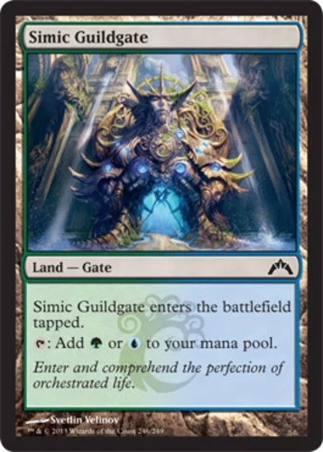 Simic Guildgate - Gatecrash #246/249 MTG Magic The Gathering - Image 1 of 1