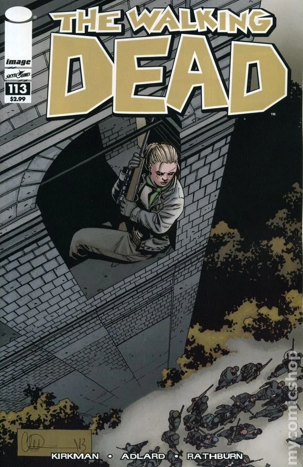 Walking Dead #113 FN 2013 Stock Image - Image 1 of 1