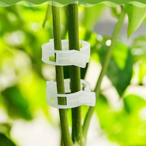 100PC Plant Support Garden Clips for Trellis Twine Greenhouse Tomato and Veggie - Picture 1 of 10