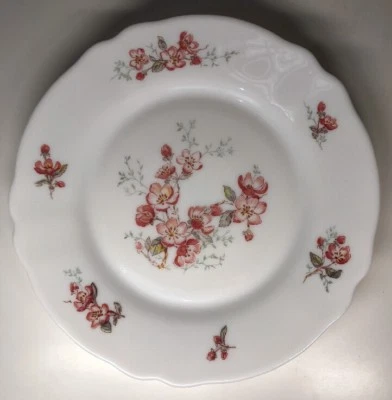 Lot39 De 6 Petites Assiettes Plates Vintage Arcopal France D 19,5Cm Décor Floral - Photo 1/4
