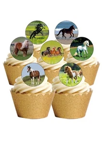 24 PRECUT Round Horse & Ponies Pony Themed Edible Wafer Paper Cupcake Toppers - Picture 1 of 9