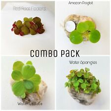 Floating Plants Combo Pack(Red Root, Water Lettuce, Amazon Frogbit, Water Sponge