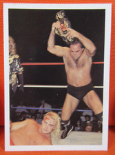 1987 WONDERAMA LARRY ZBYSZKO & BARRY WINDHAM NWA WRESTLING CARD MINT!!!