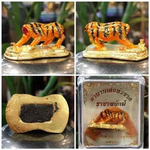 Amuleto Tigre Decapitado Racha Phayak por Phra Ajarn Tik Protección y Prosperidad - Imagen 1 de 7