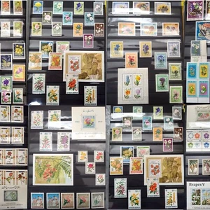 Worldwide Flowers Stamp Collection MNH -Each Lot: 15 Full Sets from 15 Countries - Picture 1 of 13