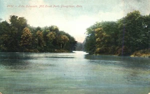 Postal de Lake Cohassett Mill Creek Park Youngstown Ohio 1908 - Imagen 1 de 2