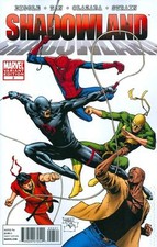 Shadowland #3 Marvel Comics 2010 Billy Tan 1:15 Variant Cover Comic Daredevil