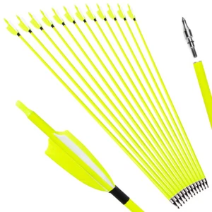 Archery Carbon Arrows 30" SP500 Feathers Tips Recurve Compound Bow Hunting Shoot - Picture 1 of 19