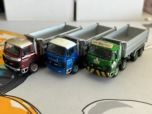 ACE 1/87 Saurer/Berna D330B/D290B Plastic truck model - Picture 1 of 17