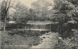 Mill Pond Dam Nature Scene In Durham Connecticut 1910s Collotype Postcard - Picture 1 of 2