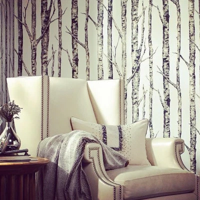 Papel Pintado Brewster Lodge Beige Gris Crema Abedul Bosque Realista 3D Gris  Foto 1 de 4