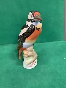 Herend Hungary NATURAL Long Tail woodpecker 9” - Picture 1 of 14