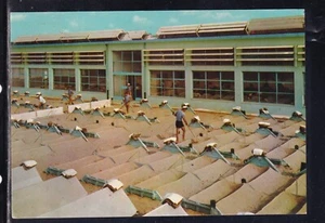 Cartolina Grado Nuovo Stabilimento Sabbiatura FA344 - Picture 1 of 1