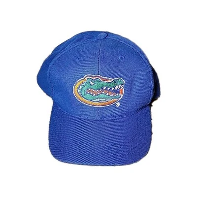 Gorra Florida Gators Talla Única NCAA Fútbol Juvenil Gorra Azul Ajustable Snapback  Foto 1 de 4