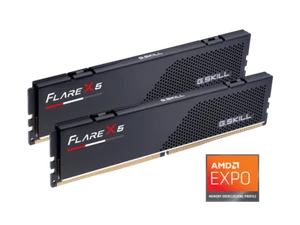 G.SKILL Flare X5 64GB (2 x 32GB) 288-Pin PC RAM DDR5 5200 (PC5 41600) - Picture 1 of 2