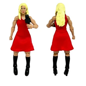 Interviewerin für WWE Wrestling Actionfiguren - Bild 1 von 1