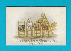 REIMPRESIÓN NOSTALGIA - LUSBY - ESCENAS DE LA VIDA CIRCENSE (A) - 2001 - Imagen 1 de 2