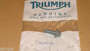 New Genuine Triumph Motorcycle M6x20 Silver Bolt P/No. T3200101 - Picture 1 of 1