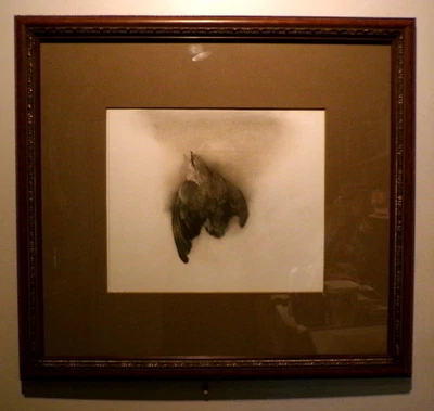 Arte Original Artista Firmado Enmarcado Pájaro Arte Dibujo por Artista Darryl Steele Foto 1 de 4