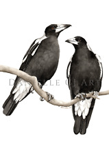 Watercolour Australian Magpie Pair Print