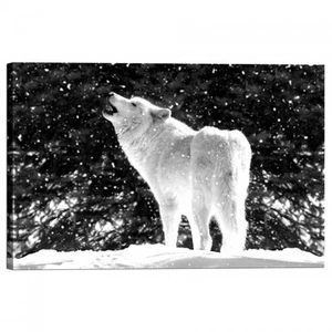 Cadre D'Impression Sur Toile Loup - Imagen 1 de 1