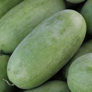 1/4 Lb Charleston Gray Watermelon Seeds - Everwilde Farms Mylar Seed Packet - Picture 1 of 2