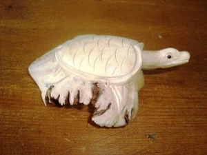 Carved Wooden Tortoise / Turtle - Picture 1 of 2
