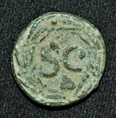 Roman Provincial, Antioch, Syria - Domitian, AE 20mm, c.81-96 AD - Image 1 of 2