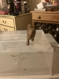Wooden Lion Figurine - Picture 1 of 5
