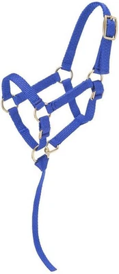 Miniature Nylon Halter - image 1 of 4