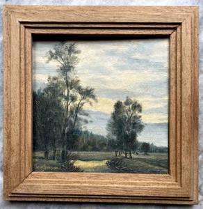 ::ÖLGEMÄLDE WIESEN MOOR ABENDLANDSCHAFT SIGNIERT SEESEMANN 1954 FLUß UFER RAHMEN - Imagen 1 de 6