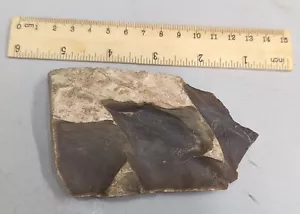 152 Gram Paleolithic 300,000 Year Old Stone Age Artifact from Africa (#F5523) - Picture 1 of 1