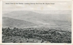 Mt. Gaylor AR * Ozark Scene from Tower ca. 1940 * Crawford Co. Gayler - Picture 1 of 2