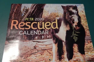 Calendario PETA 2020 ANIMALES RESCATADOS 12 FOTOS ÚNICAS NUEVO - Imagen 1 de 7