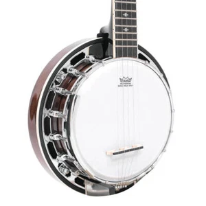 Gold Tone BG-MINI Bluegrass Short-Scale 5-String Resonator Banjo - Picture 1 of 3