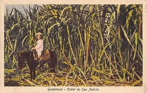 Guatemala - Cañal de San pedrito - Ed. Adolfo Biener - Picture 1 of 2