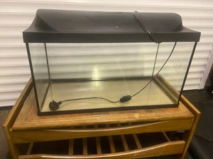 Tetra 105 Aquarium tank with Skull, Castle and other accessories - Picture 1 of 12