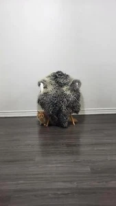 VIP Gray Gotland Sheepskin Rug XXL ,  curly sheepskin rug  #G56 - Picture 1 of 9