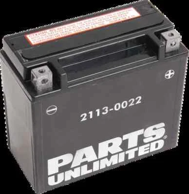 Parts Unlimited AGM Battery YTX20HL-BS Ski-Doo Renegade XRS 800R 15-17 Foto 1 de 4