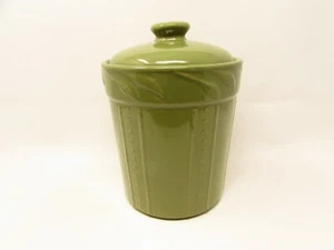 Sorrento Oregano by Signature Medium Canister Green Embossed Leaves & Dots - Picture 1 of 3