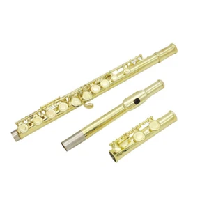 16 Closed Open Hole C Key Flute Gold Plated with Box Cleaning Cloth Gloves - Picture 1 of 7